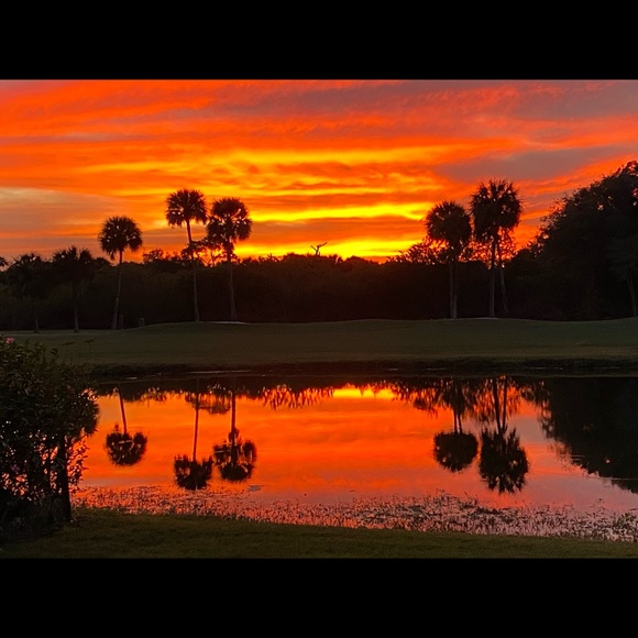 Meet your Posher, Lisa - Picture 6 of 7